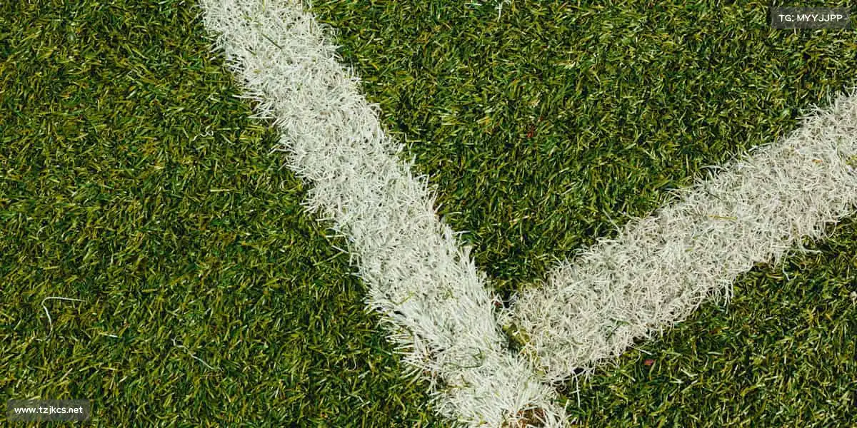 行业领先的理由