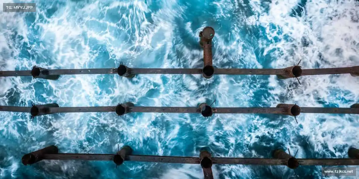 im电竞🏐跳跃、扣杀、协作 —— 团队的力量，让赛场闪耀光芒！